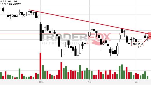 C.A.T. Oil - Die Katze überschlägt sich fast 722440