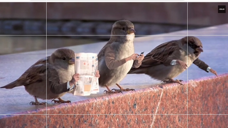 netcents, die neue online zahlungsplattform 1100432