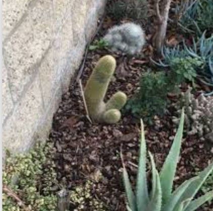 HydrogenPro der Player für Clean Energy, Norwegen 1258335