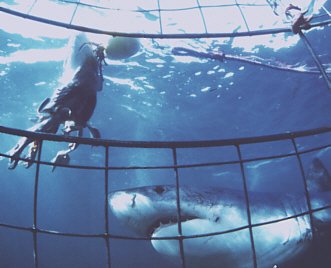 f-h Oni BW sb & Friends-TTT, Montach 08.11.04 2419