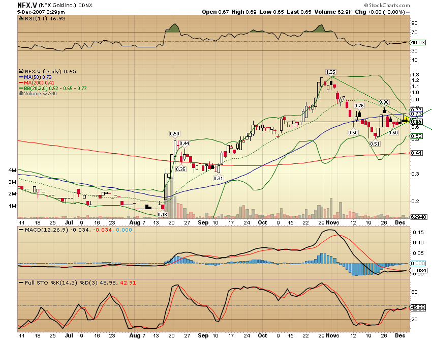 NFX Gold Inc. 134906