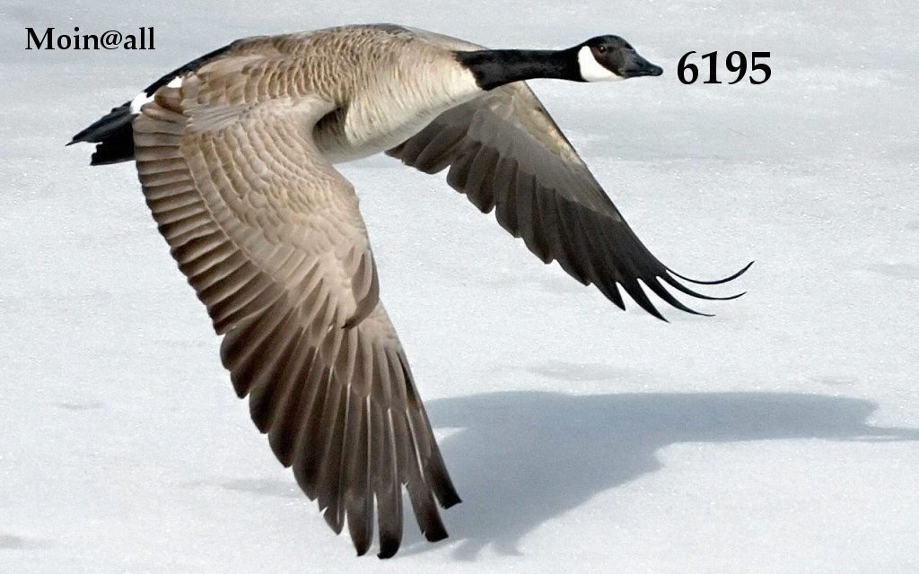 1.373.DAX Tipp-Spiel, Montag, 06.09.10 343109