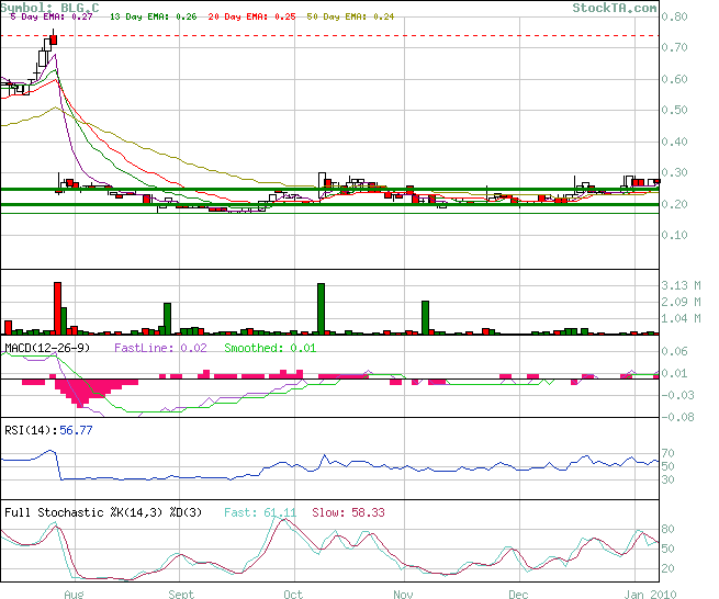  Bear Lake Gold LTD NEW : Aus 2 mach 1! 290076