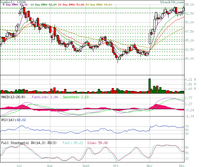Bush Freund aus Keramik macht Umsatz 70135