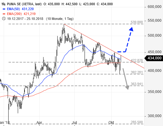 Puma die Erfolgsaktie 1079878