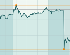 Der USA Bären-Thread 433074