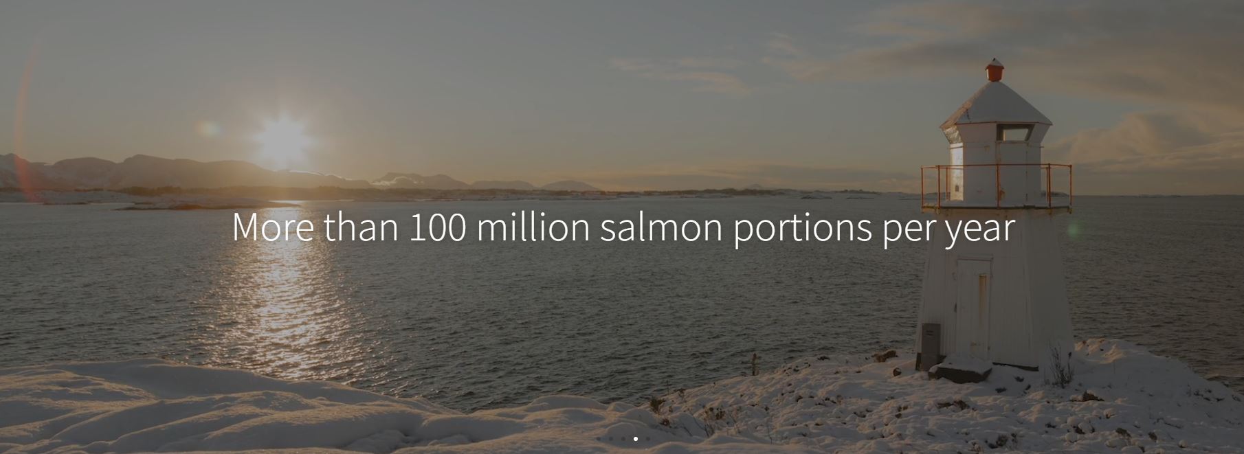 Salmon Evolution - landbasierte Lachszucht 1323047