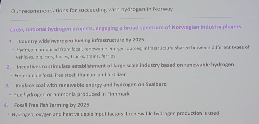 NEL, der Wasserstoffplayer aus Norwegen 1114482