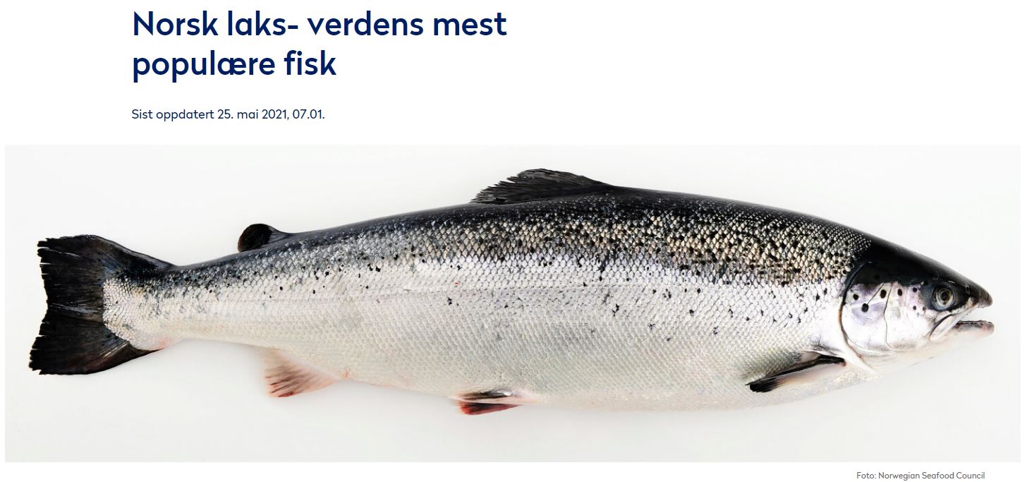 Salmon Evolution - landbasierte Lachszucht 1323057