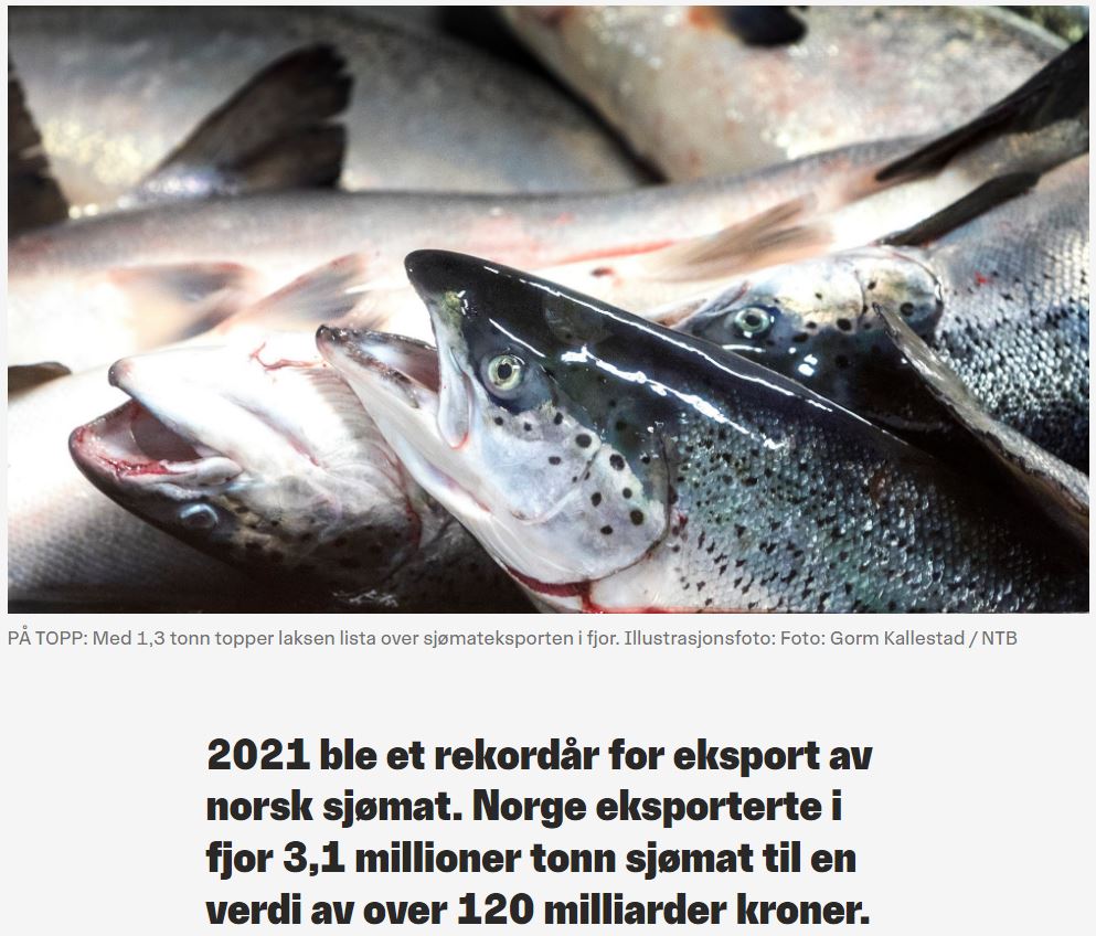 Salmon Evolution - landbasierte Lachszucht 1323058