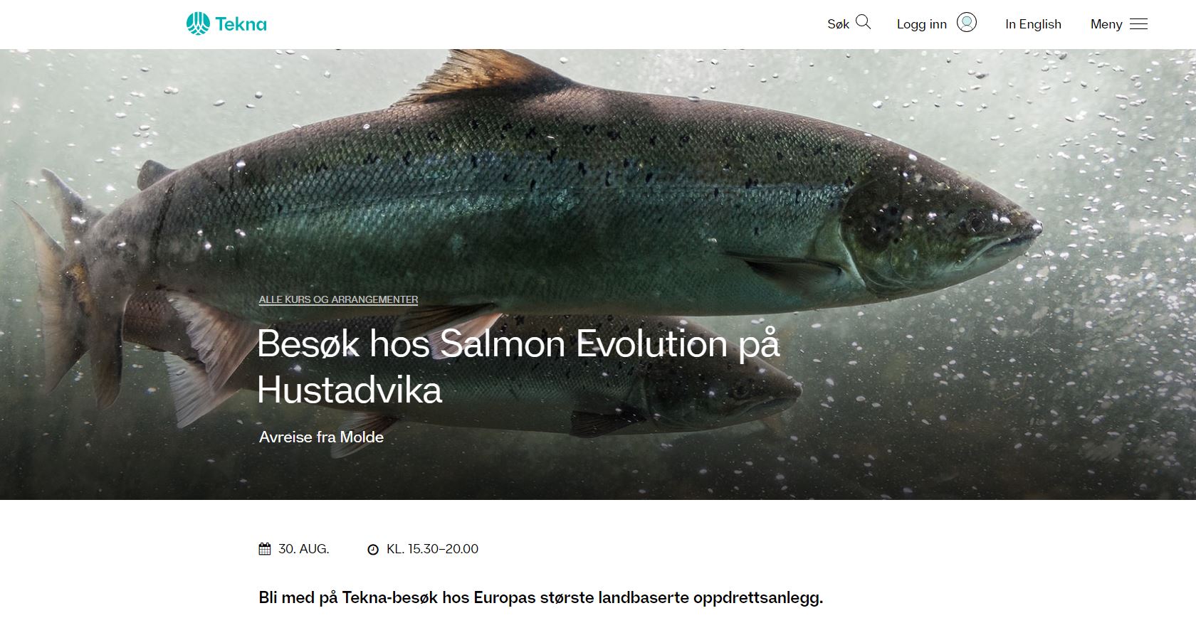 Salmon Evolution - landbasierte Lachszucht 1328180