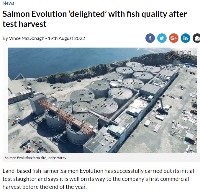Salmon Evolution - landbasierte Lachszucht 1329064