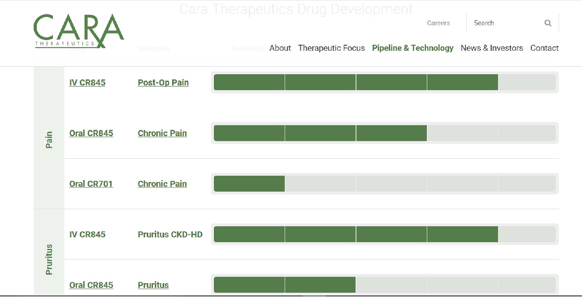 Cara Therapeutics - Nach Absturz der Höhenflug? 998955