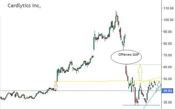 CARDLYTICS INC - The Power of Purchase Intelligenc 1173866