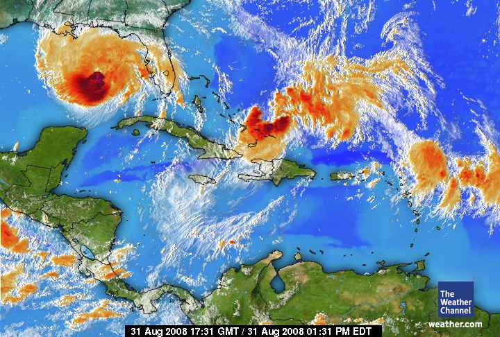 Die Bullen scharren gar nicht mit den Hufen, 183421