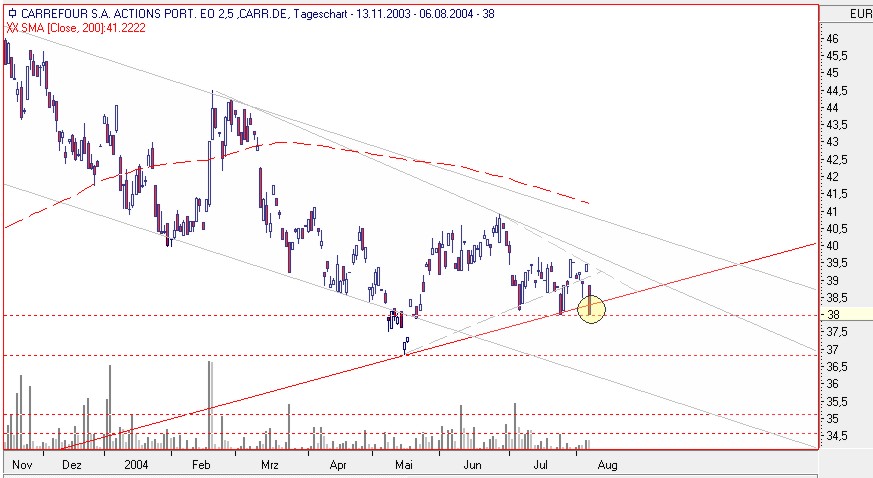 Einzelwerte zum TTT 704