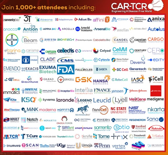 Medigene - Sachliche und fachliche Beiträge 1387893