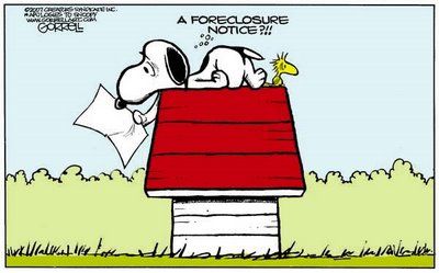 Der USA Bären-Thread 180056