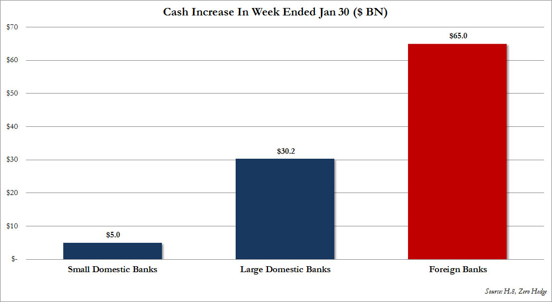Der USA Bären-Thread 577519