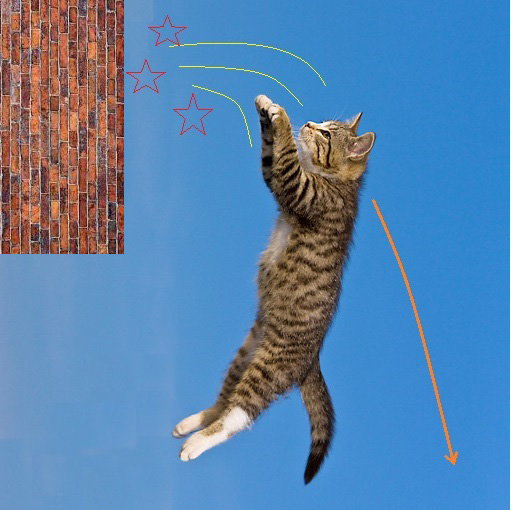 Der USA Bären-Thread 1042842