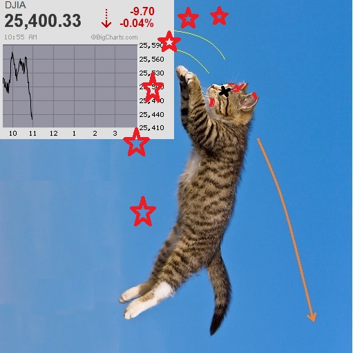 Der USA Bären-Thread 1042989