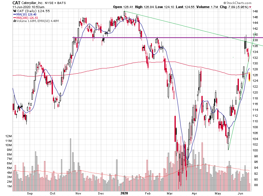 Der USA Bären-Thread 1184218