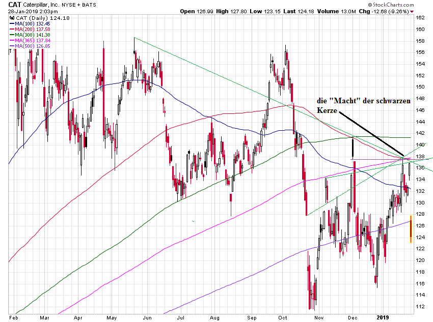 Der USA Bären-Thread 1093672
