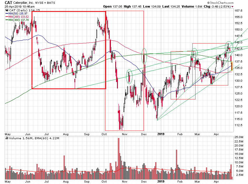 Der USA Bären-Thread 1108836