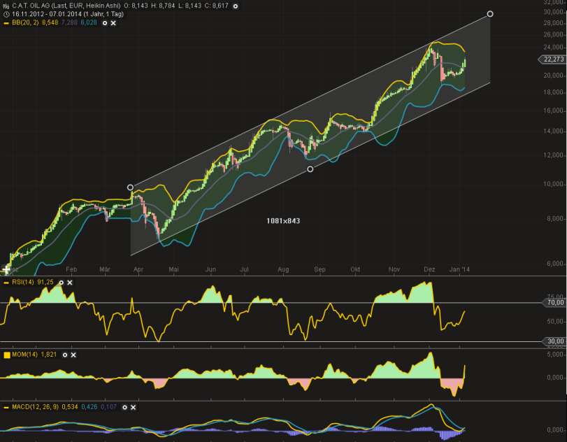 C.A.T. Oil - Die Katze überschlägt sich fast 679746