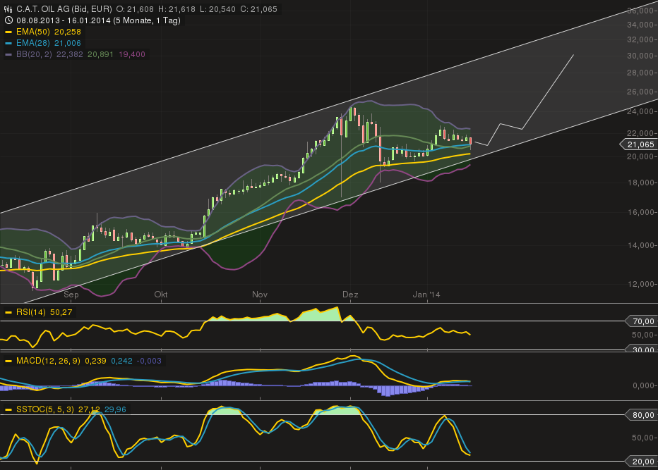 C.A.T. Oil - Die Katze überschlägt sich fast 683066