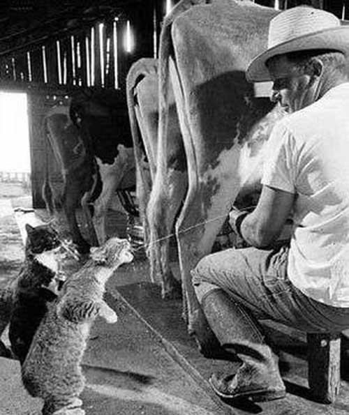 ▶ TTT - Dienstag, 11.03.2008 153656