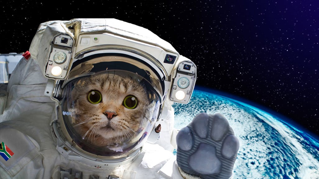 Steinhoff International Holdings N.V. 1220035