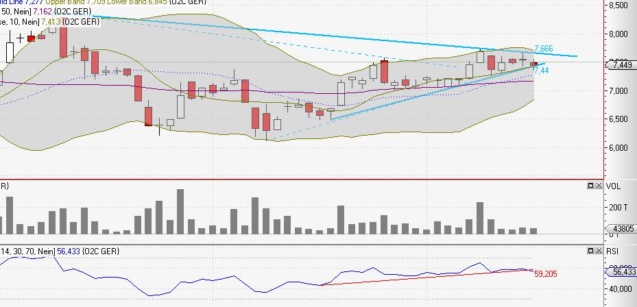 C.A.T. Oil - Die Katze überschlägt sich fast 306724