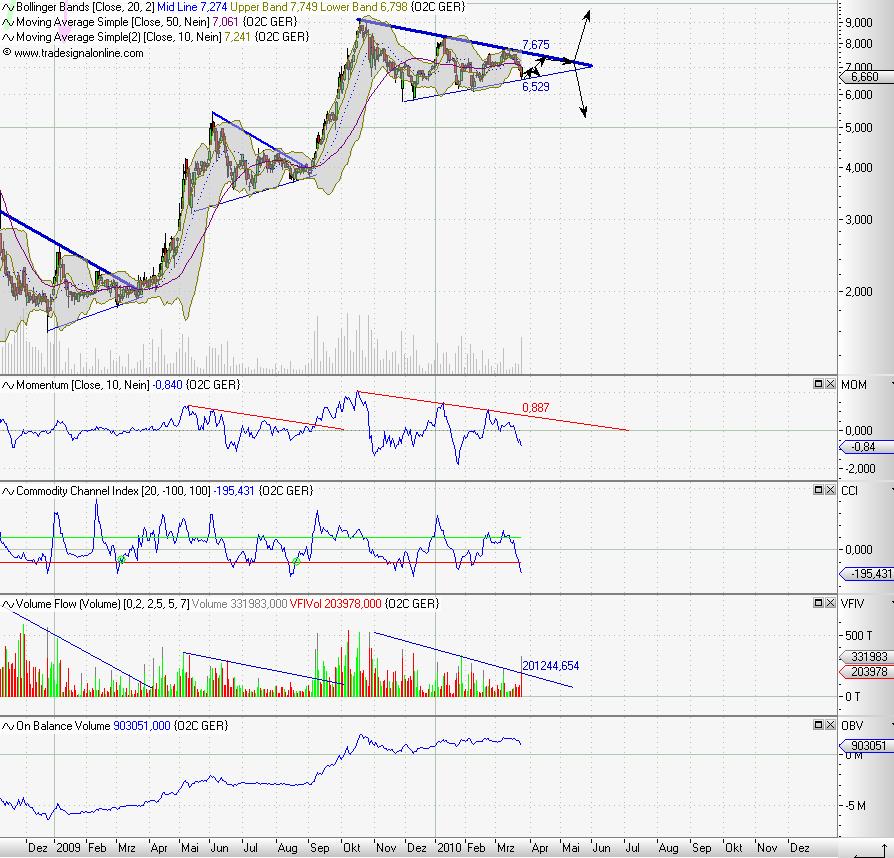 C.A.T. Oil - Die Katze überschlägt sich fast 308958
