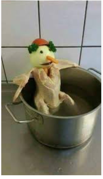 netcents, die neue online zahlungsplattform 1095226