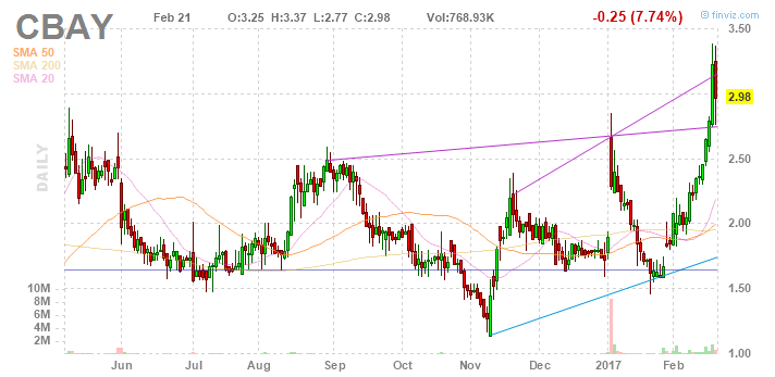 2017 Walli's Aktien Picks 973128