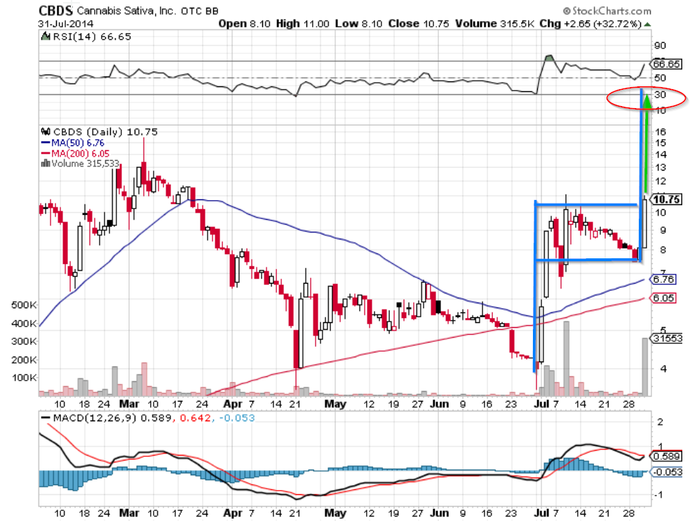 Drug-Stocks im Aufwind 745375
