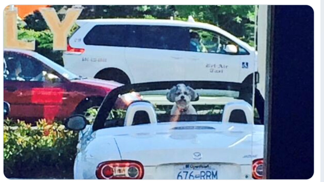 Netcents Technology Thread moderiert A2AFTK 1095342