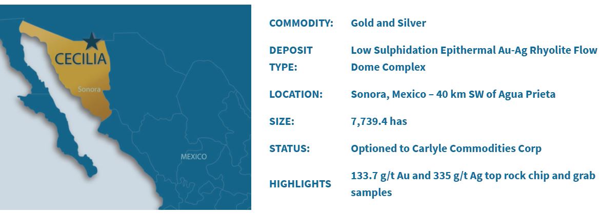 Carlyle Commodities: Gold in Mexiko - Insiderkäufe 1195118