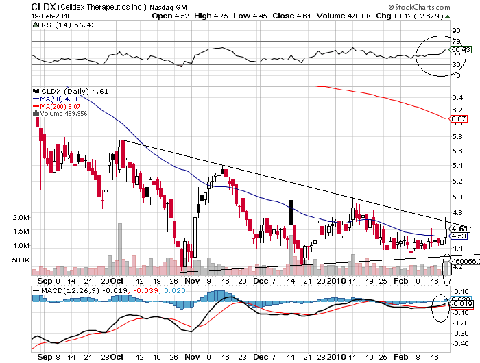 Celldex Therapeutics garantierte 100 % bis 06/10 301003
