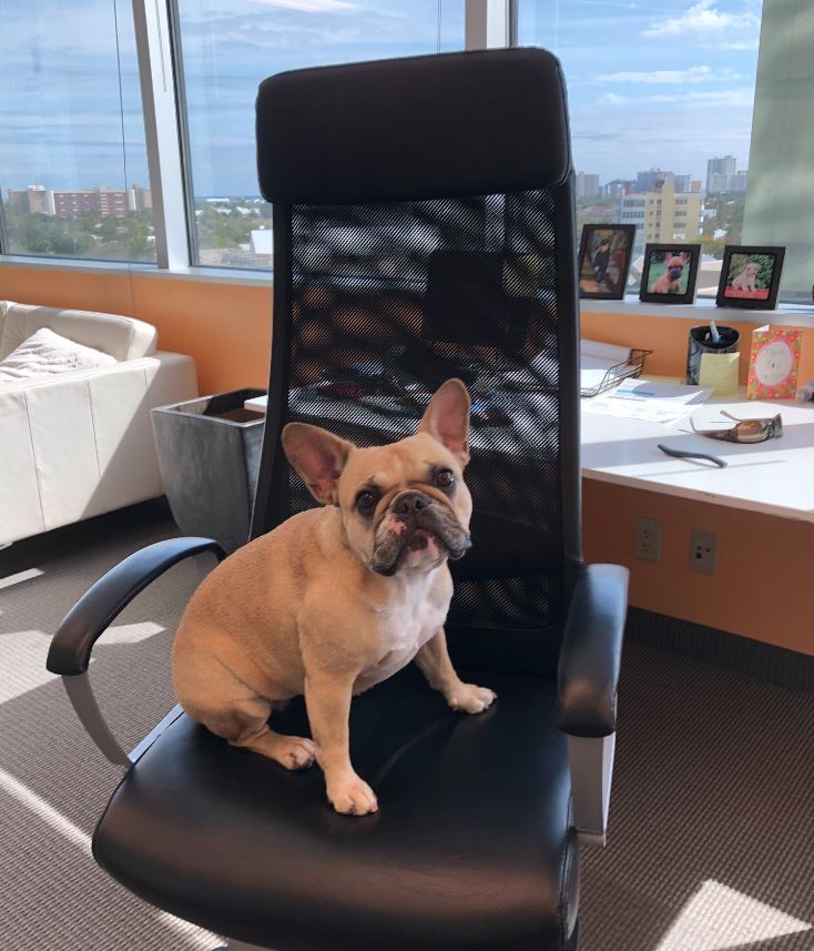 Netcents Technology Thread moderiert A2AFTK 1143191