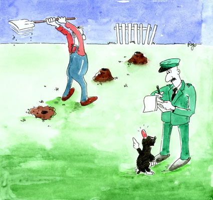 448.DAX Tipp-Spiel, Freitag, 12.01.07 76941