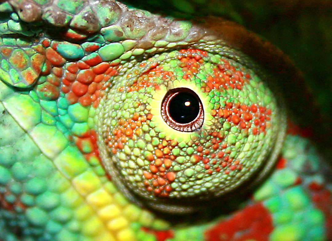 750.DAX Tipp-Spiel, Mittwoch, 26.03.08 156481