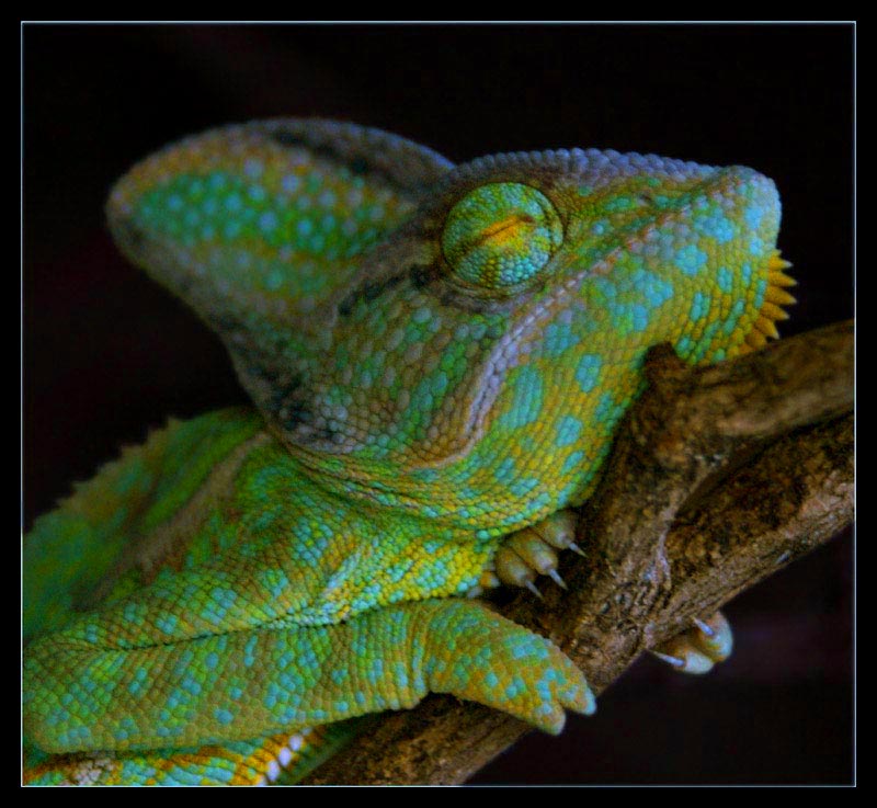 758.DAX Tipp-Spiel, Montag, 07.04.08 158258