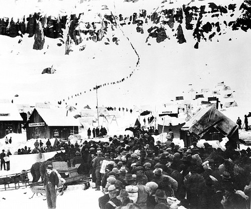 Der USA Bären-Thread 613123