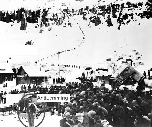 Der USA Bären-Thread 613125