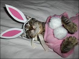 GiV Insolvent was nun? 534859