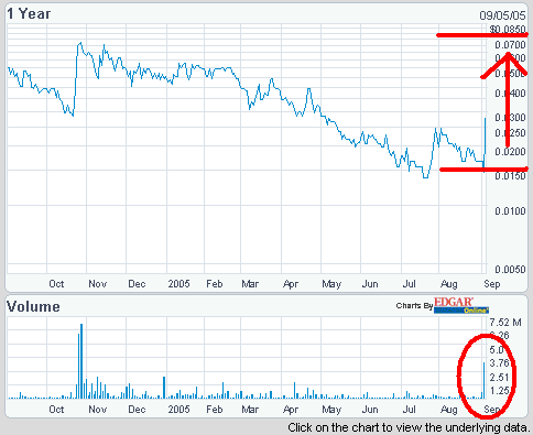 ** Diese Firma profitiert vom Hurricane Katrina ** 14839