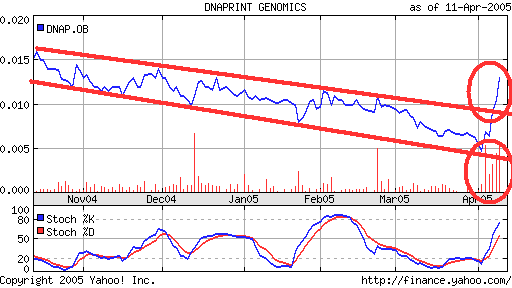 Dnaprint Genomics. Ausbruch! Megachance! 6997