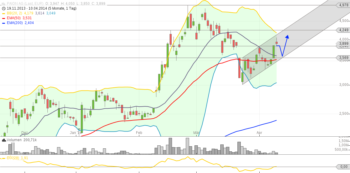 PAION Eine Fledermaus lernt wieder fliegen 713098